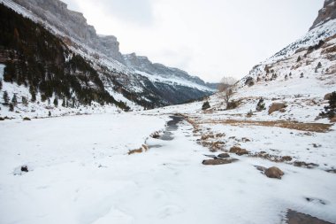 Pireneler İspanya 'da karlı sonbaharda Ordesa Ulusal Vadisi