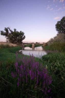 Torres de Berrellen Zaragoza İspanya 'daki Jalon Nehri' nden geçen köprüler.