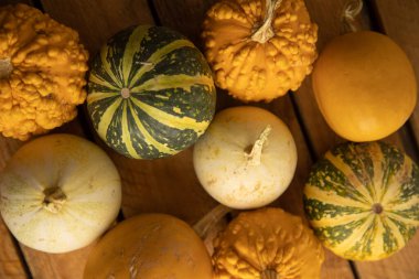 Ahşap arka planda çeşitli kabak çeşitleri. Sonbahar hasadı