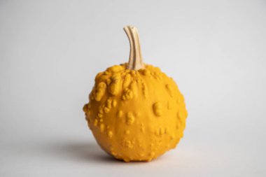 Beyaz arkaplanda mükemmel balkabakları