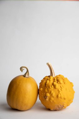 Beyaz arkaplanda mükemmel balkabakları