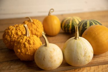 Ahşap arka planda çeşitli kabak çeşitleri. Sonbahar hasadı