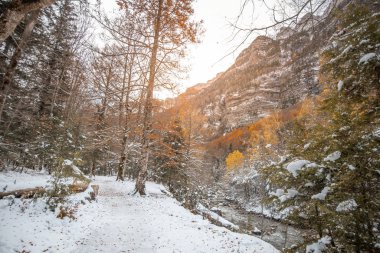 Pireneler İspanya 'da karlı sonbaharda Ordesa Ulusal Vadisi