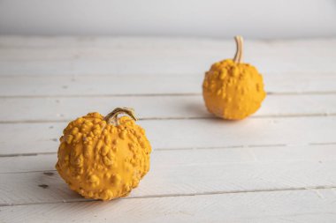 Ahşap arka planda çeşitli kabak çeşitleri. Sonbahar hasadı