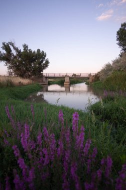 Torres de Berrellen Zaragoza İspanya 'daki Jalon Nehri' nden geçen köprüler.