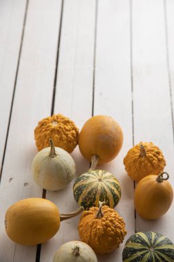 Ahşap arka planda çeşitli kabak çeşitleri. Sonbahar hasadı
