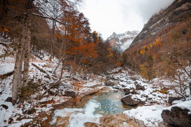 Pireneler İspanya 'da karlı sonbaharda Ordesa Ulusal Vadisi