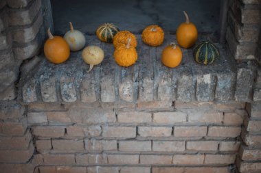 Cadılar bayramı için ideal balkabaklarıyla sonbahar arkaplanı