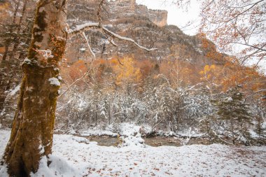 Pireneler İspanya 'da karlı sonbaharda Ordesa Ulusal Vadisi