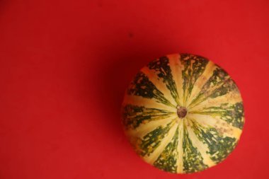 Kırmızı arka planda balkabakları. Sonbahar hasadı