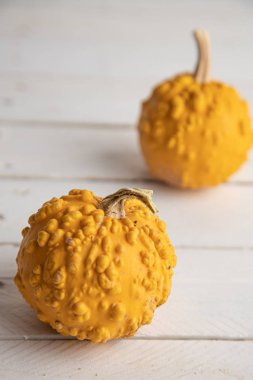 Ahşap arka planda çeşitli kabak çeşitleri. Sonbahar hasadı