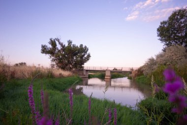 Torres de Berrellen Zaragoza İspanya 'daki Jalon Nehri' nden geçen köprüler.