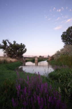 Torres de Berrellen Zaragoza İspanya 'daki Jalon Nehri' nden geçen köprüler.