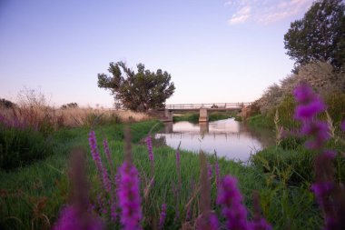Torres de Berrellen Zaragoza İspanya 'daki Jalon Nehri' nden geçen köprüler.