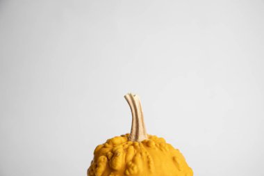 Beyaz arkaplanda mükemmel balkabakları