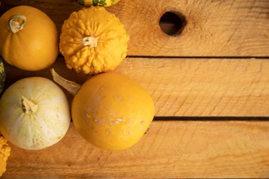 Ahşap arka planda çeşitli kabak çeşitleri. Sonbahar hasadı