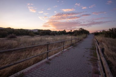 Torres de Berrellen Zaragoza İspanya 'daki Jalon Nehri' nden geçen köprüler.