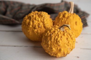 Ahşap arka planda çeşitli kabak çeşitleri. Sonbahar hasadı