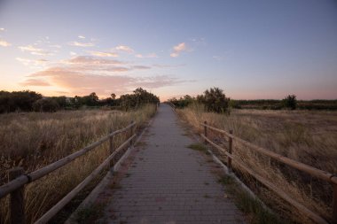 Torres de Berrellen Zaragoza İspanya 'daki Jalon Nehri' nden geçen köprüler.