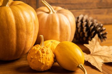 Turuncu tonlu sonbahar merkezi arkaplanı