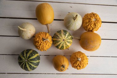 Ahşap arka planda çeşitli kabak çeşitleri. Sonbahar hasadı