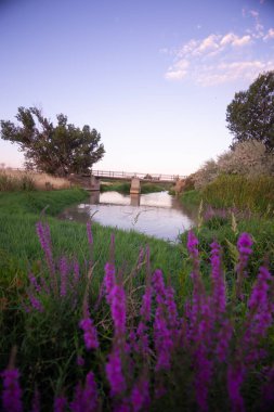 Torres de Berrellen Zaragoza İspanya 'daki Jalon Nehri' nden geçen köprüler.
