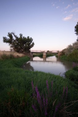 Torres de Berrellen Zaragoza İspanya 'daki Jalon Nehri' nden geçen köprüler.