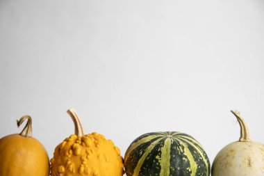 Beyaz arkaplanda mükemmel balkabakları