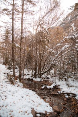 Pireneler İspanya 'da karlı sonbaharda Ordesa Ulusal Vadisi