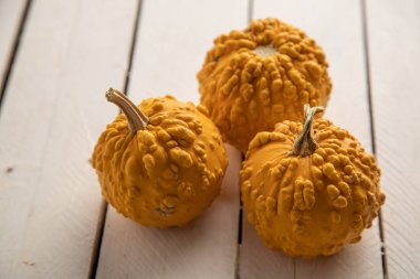 Ahşap arka planda çeşitli kabak çeşitleri. Sonbahar hasadı