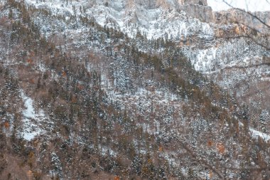 Pireneler İspanya 'da karlı sonbaharda Ordesa Ulusal Vadisi