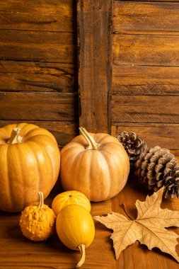 Turuncu tonlu sonbahar merkezi arkaplanı