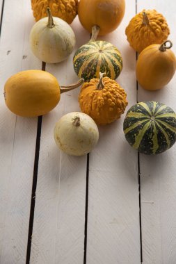 Ahşap arka planda çeşitli kabak çeşitleri. Sonbahar hasadı