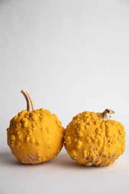 Beyaz arkaplanda mükemmel balkabakları