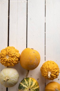 Ahşap arka planda çeşitli kabak çeşitleri. Sonbahar hasadı