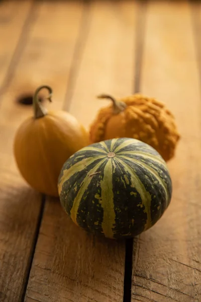 Diverse Assortment Pumpkins Wooden Background Autumn Harvest — Stock Photo, Image