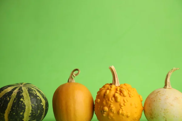Kürbisse Auf Grünem Hintergrund Herbsternte — Stockfoto