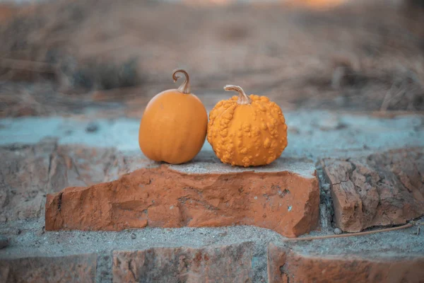 Fundo Outonal Com Abóboras Ideal Para Halloween — Fotografia de Stock