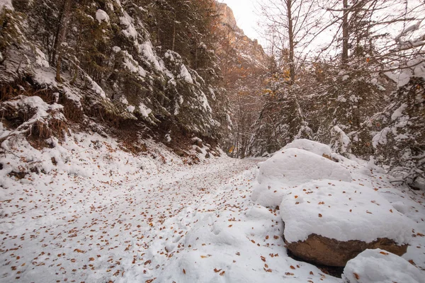 Valle Nacional Ordesa Otoño Nevado Situado Pirineos España — Foto de Stock