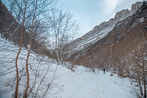 Valle Nacional Ordesa Otoño Nevado Situado Pirineos España — Foto de Stock