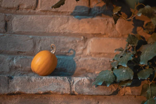 Fond Automnal Avec Citrouilles Idéal Pour Halloween — Photo