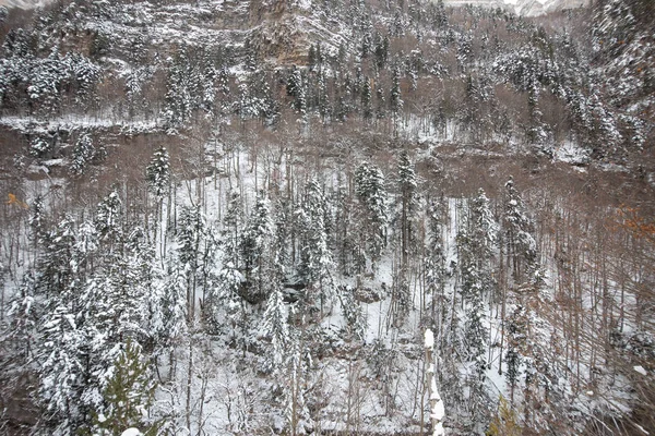 Ordesa National Valley Besneeuwde Herfst Gelegen Pyreneeën Van Spanje — Stockfoto