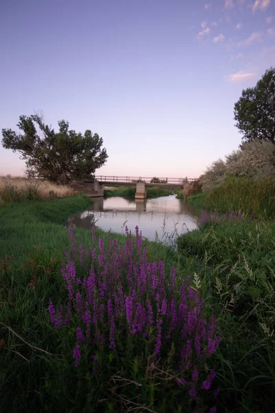 Torres de Berrellen Zaragoza İspanya 'daki Jalon Nehri' nden geçen köprüler.