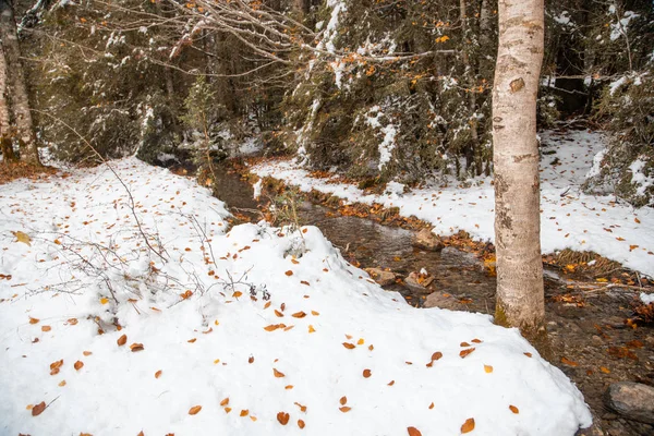 Valle Nacional Ordesa Otoño Nevado Situado Pirineos España —  Fotos de Stock