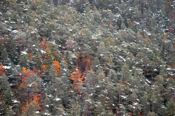 Valle Nacional Ordesa Otoño Nevado Situado Pirineos España —  Fotos de Stock