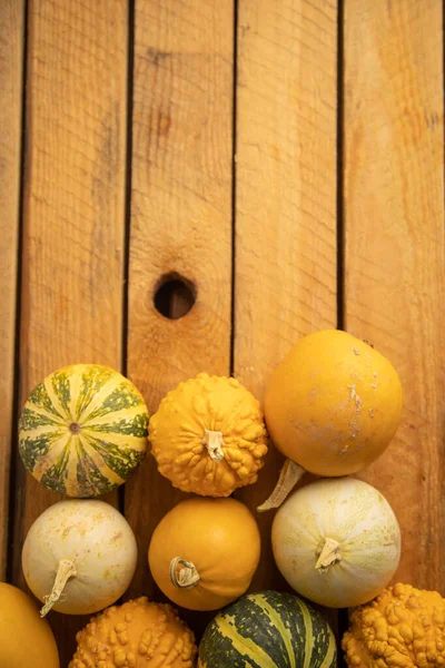 Ahşap arka planda çeşitli kabak çeşitleri. Sonbahar hasadı