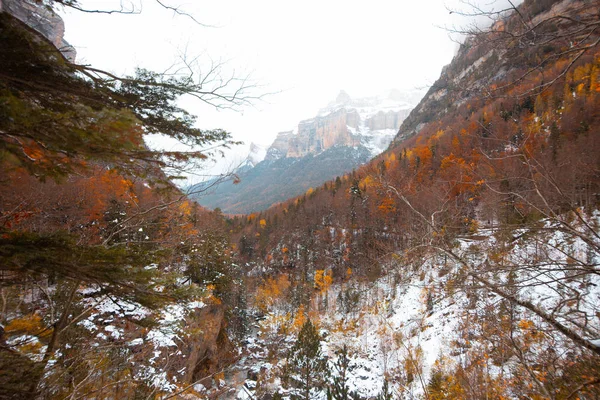 Національна Долина Ордеса Снігову Осінь Піренеях Іспанія — стокове фото
