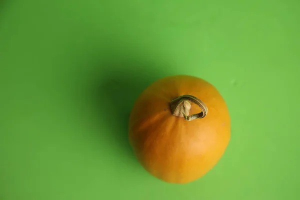 Citrouilles Sur Fond Vert Récolte Automne — Photo