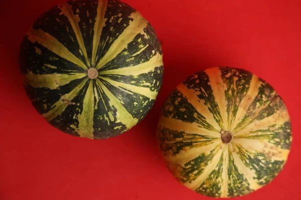 Kırmızı arka planda balkabakları. Sonbahar hasadı