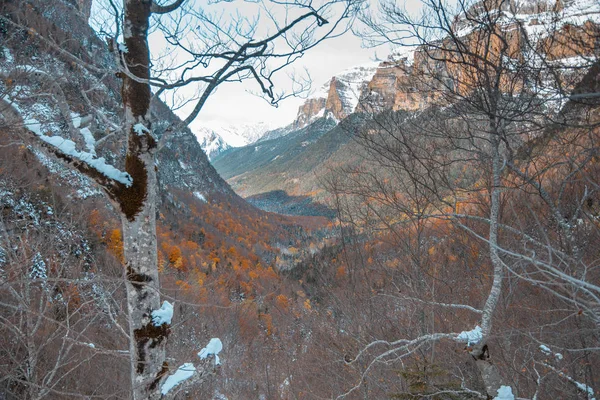 Ordesa Nationalen Tal Verschneiten Herbst Den Pyrenäen Spanien — Stockfoto